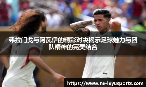 乐鱼体育app下载
